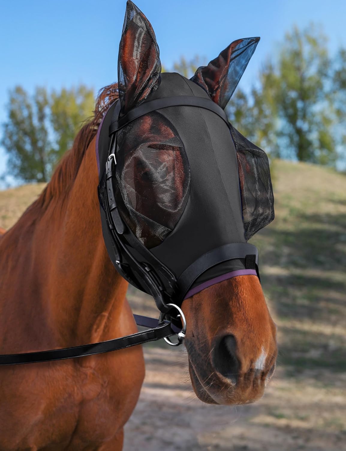 Horse Fly Mask with Ears, UV Protection for Horses, Elasticity with Big Mesh Eye Covers, Snug Fitting Comfortable Breathable Lightweight for Horses Black Full Size