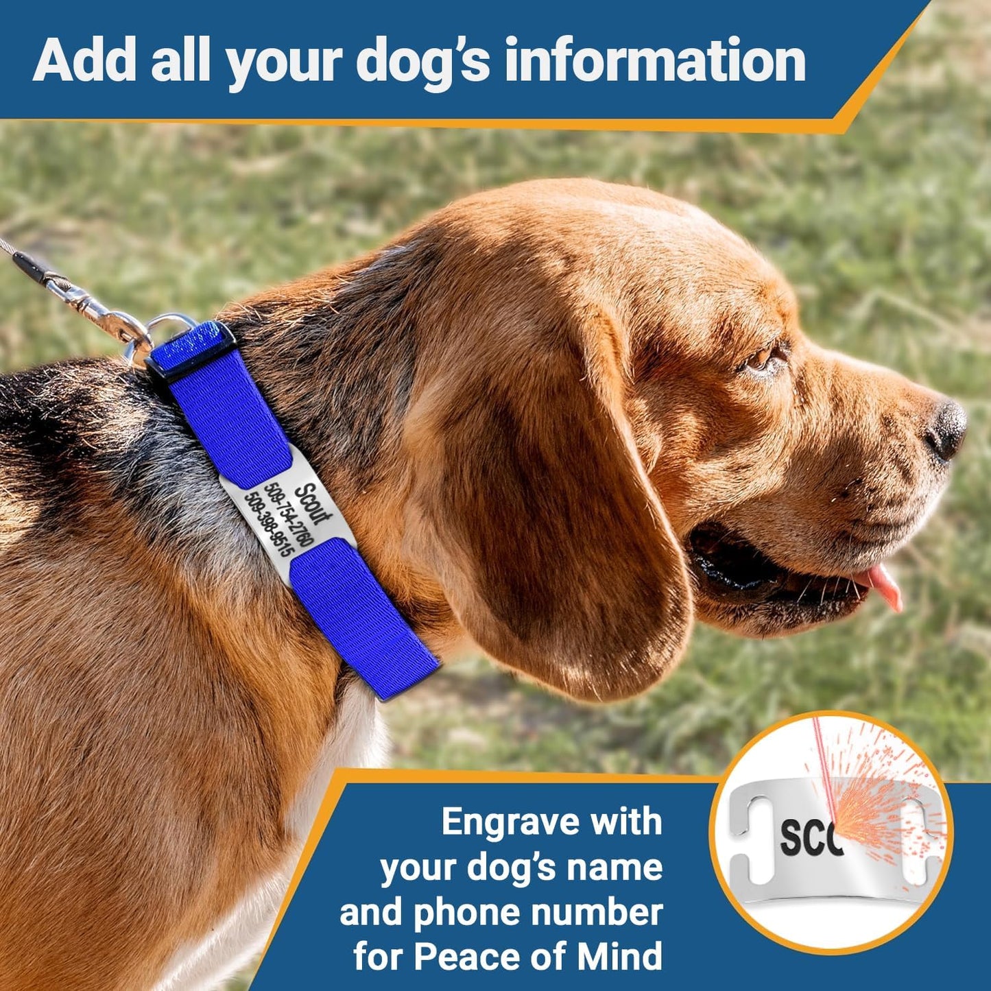 GoTags Personalized Dog Collar with Nameplate, Adjustable Dog Collar with Custom Engraved Slide On Pet ID Tag in Stainless Steel, Silent, No Noise Dog Tag for Large Medium and Small (Black, Large)