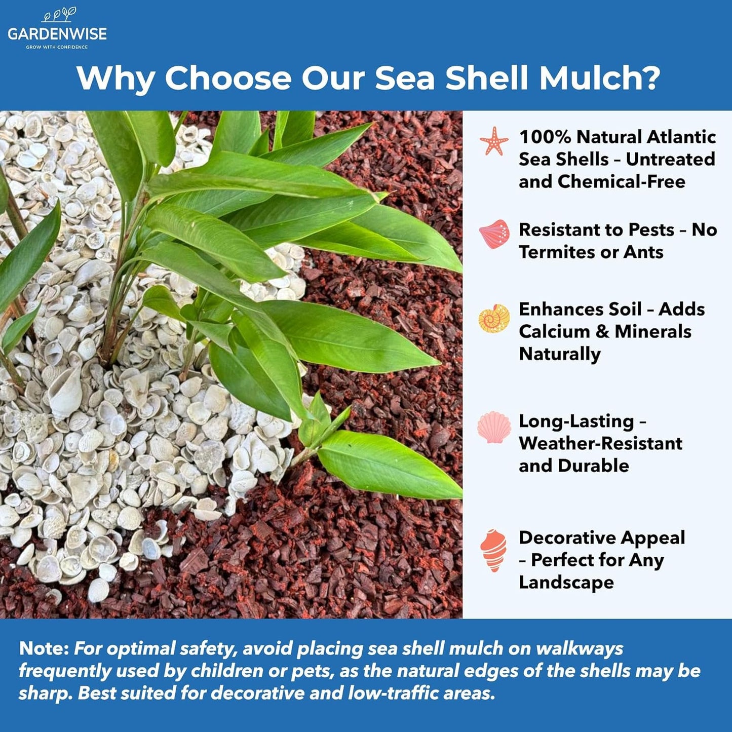 Natural Organic Sea Shell Mulch for Gardens and Landscaping – Decorative and Nutrient-Rich, 0.5–3-Inch Shells, Perfect for Indoor and Outdoor Use (2 CF - 56 L - 60 QTS)