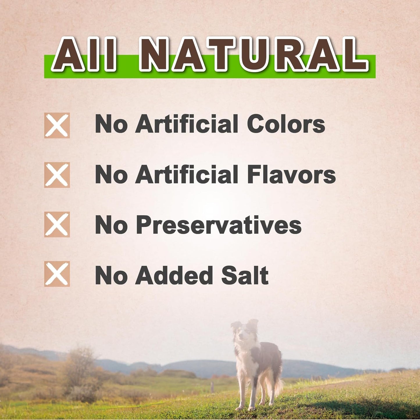 AFreschi Natural Chicken Breast Jerky 16 oz, Dog Treats, All Natural, Grain-Free, High-Protein, Low Fat, Healthy & Easily Digestible