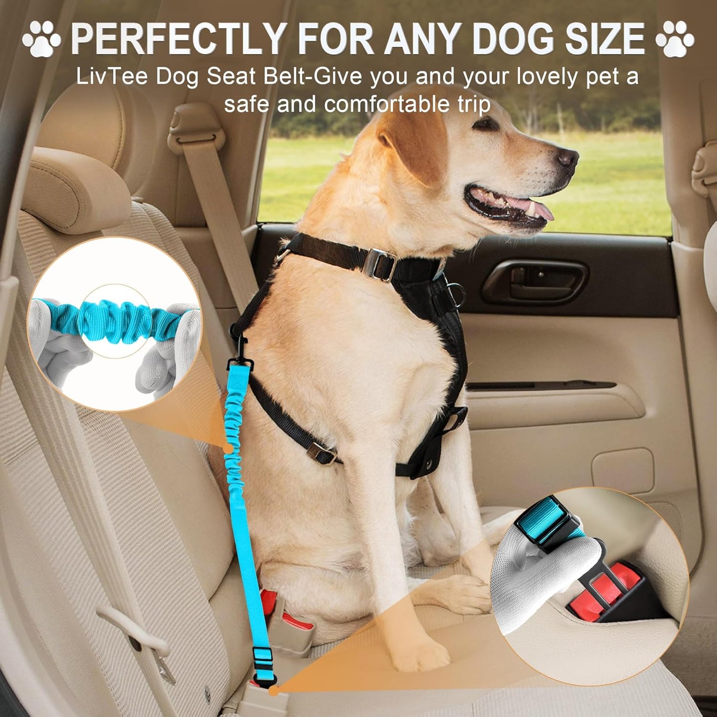 LivTee Dog Seat Belt for Car, Retractable Pet Safety Harness, Adjustable Nylon Dog Seatbelt Leash, Comfortable Dog Accessories for Vehicles (Teal-1PCS)