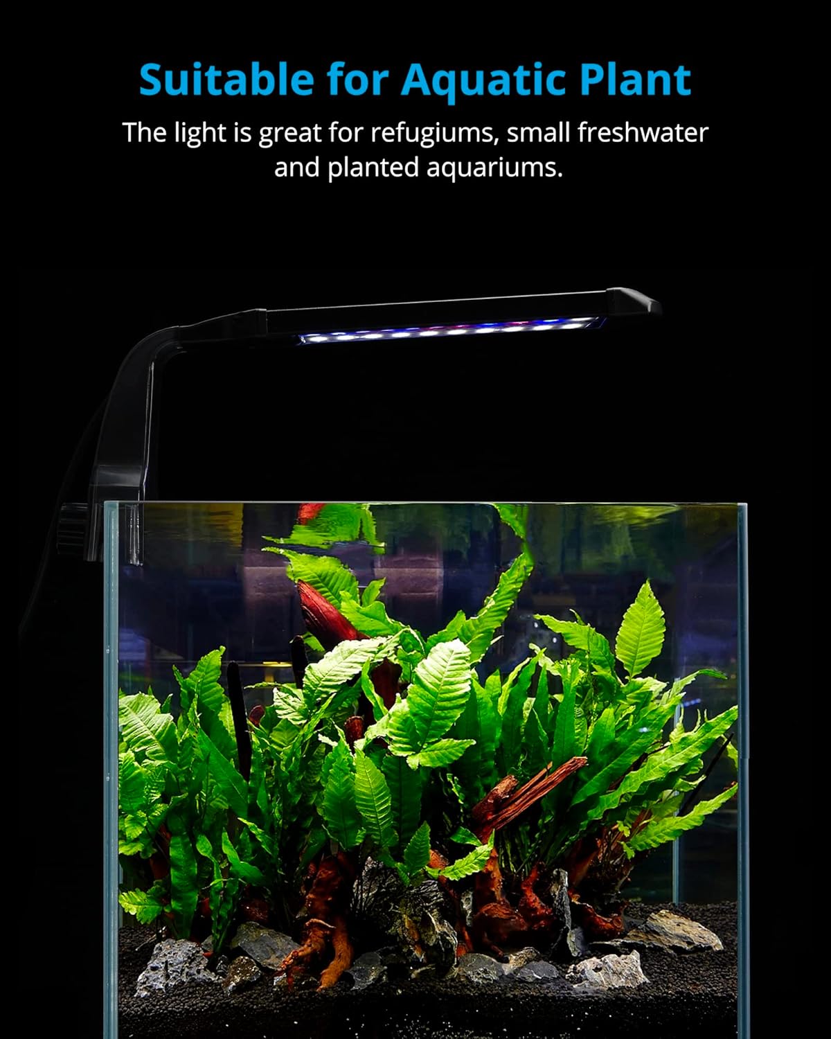 NICREW Clip on Aquarium Light, Fish Tank Light with White, Blue and Red LEDs, Planted Aquarium Light for Nano Tank, 2 Lighting Modes