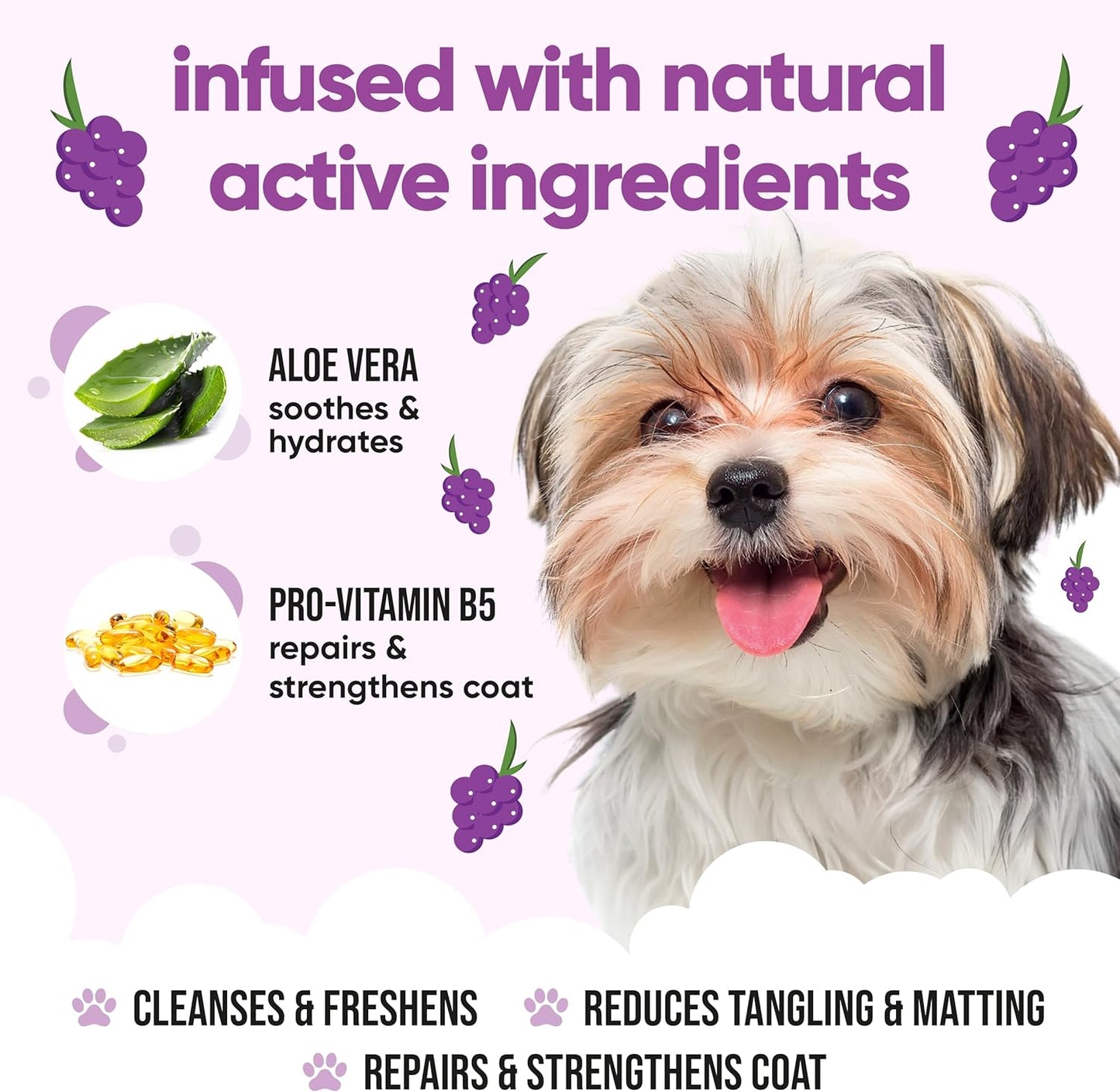 Grape Scented Puppy Shampoo by Buddycare | For Smelly Dogs from 8 Weeks | Aloe Vera & Pro Vitamin B5 (16.90oz)