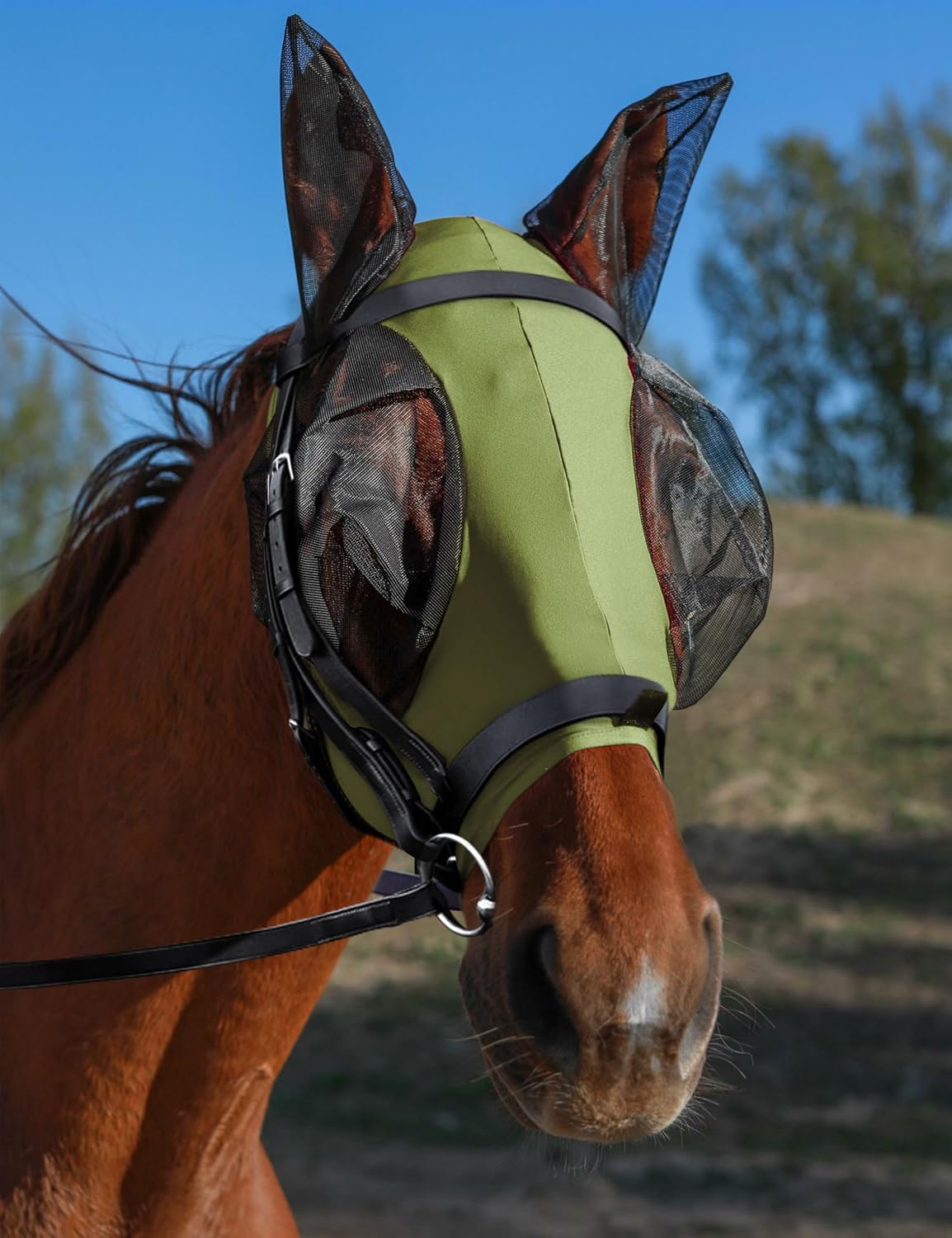Horse Fly Mask with Ears, UV Protection for Horses, Elasticity with Big Mesh Eye Covers, Snug Fitting Comfortable Breathable Lightweight for Horses Olive Green Cob
