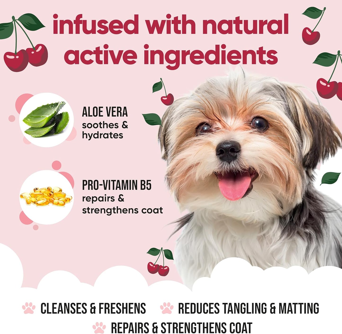 Black Cherry Dog Shampoo by Buddycare | Deep Cleansing Shampoo for Dogs | Black Cherry Scented | with Aloe Vera and Pro Vitamin B5 (169.07oz)