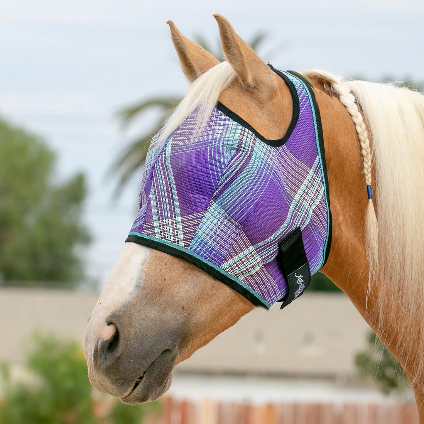 Kensington Fly Mask Web Trim Protects Horses Face and Eyes from Bites and Sun Rays While Allowing Full Visibility Ears and Forelock Able to Come Through The Mask, Large, Lavender Mint