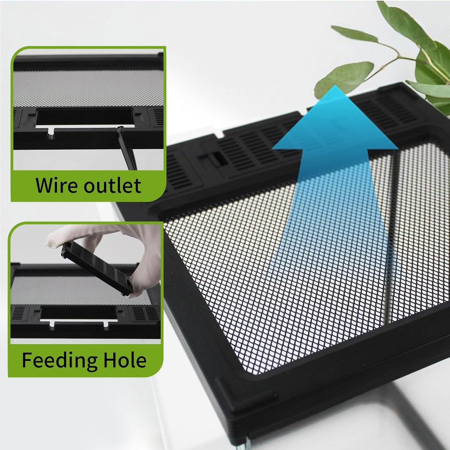 Mini Reptile Glass Terrarium Tank 8"*8"*10" Full View with Front Opening Door,Amphibians Enclosure Habitat Cage for Leopard Gecko Tarantula Young Lizard Hermit Crab Frog Insects Breeding