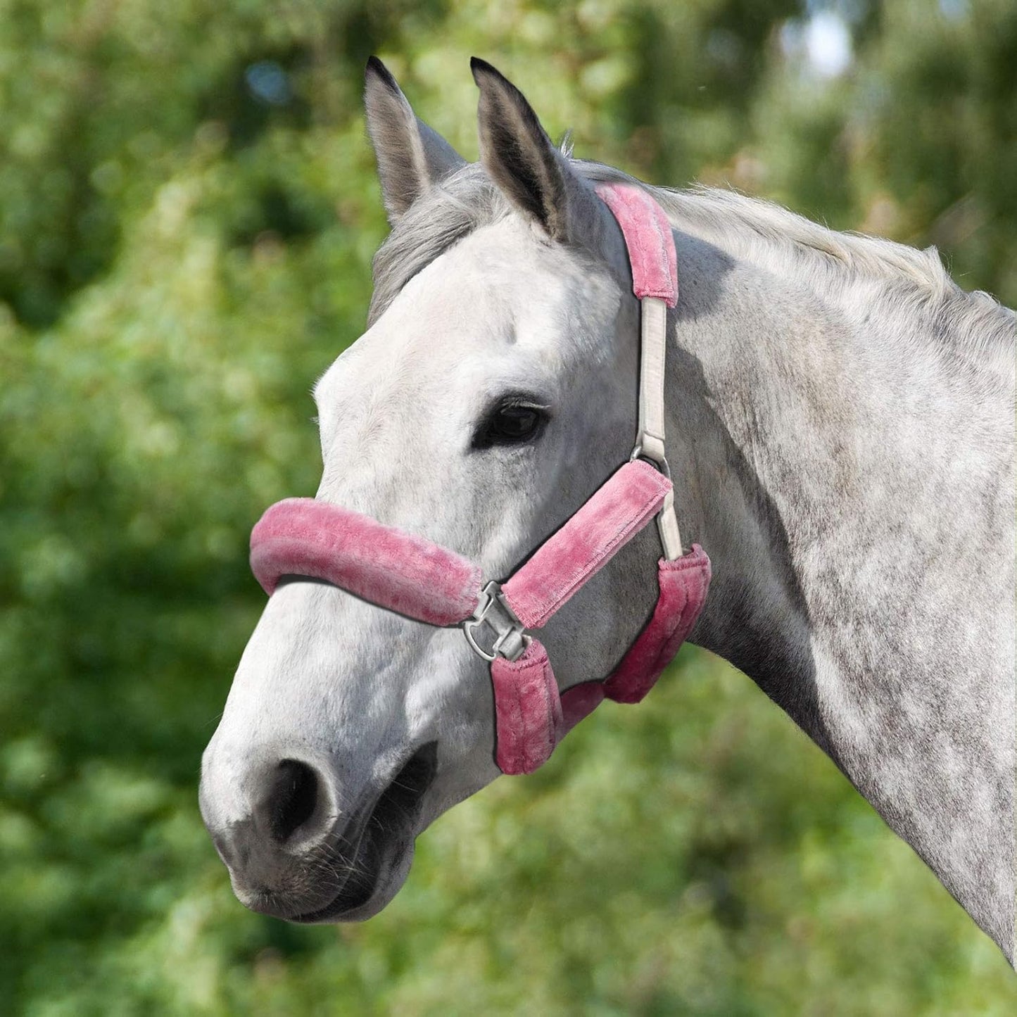 Harrison Howard Horse Halter Fleece Cover Set 9 Pieces