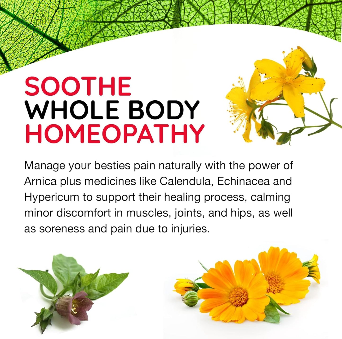 T-Relief Pet Pain Relief Arnica +12 Powerful Natural Medicines Help Ease Muscle Joint & Hip Pain Soreness Stiffness & Injuries Max Fast-Acting Soother for Dogs & Cats - 90 Tablets