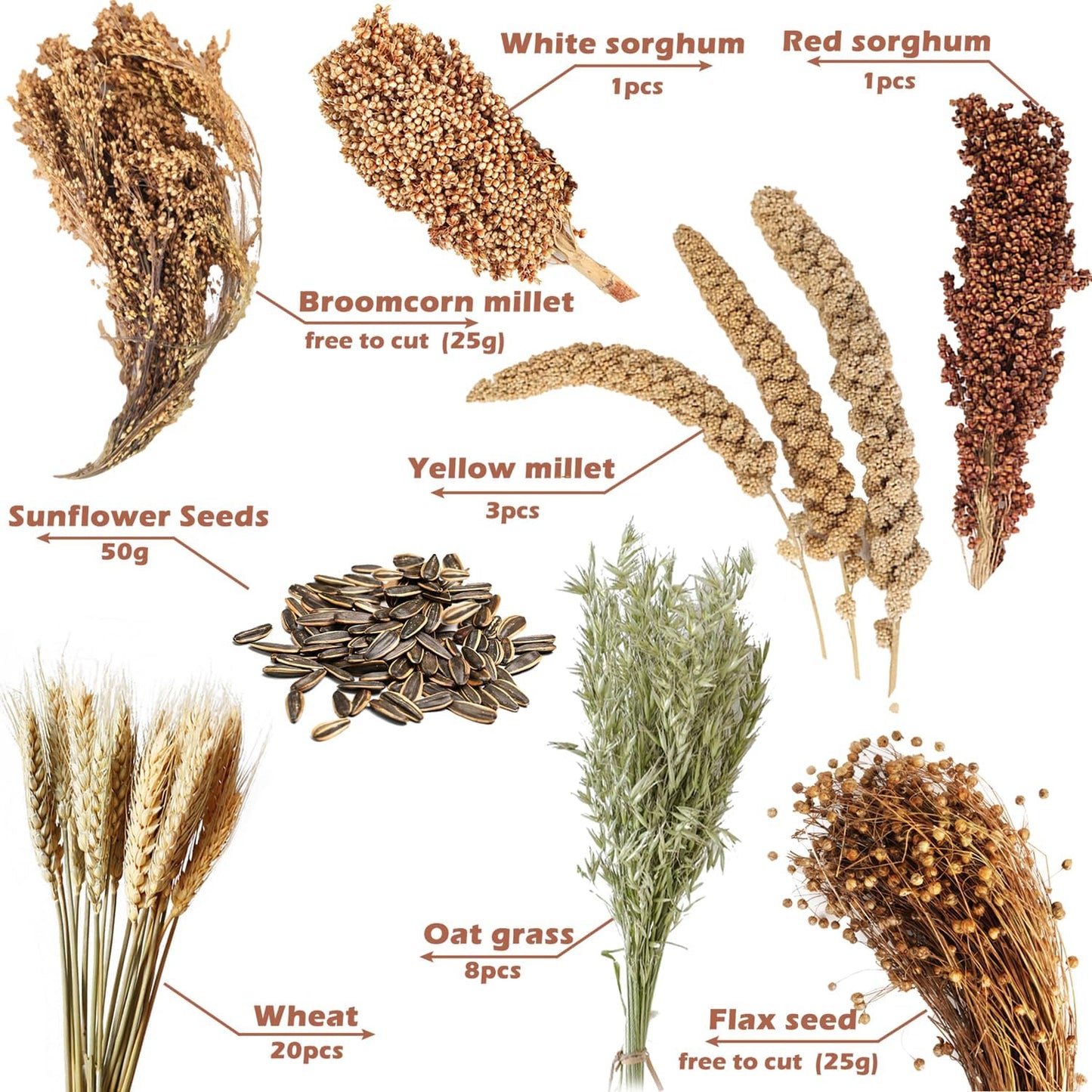 Natural Ear of Grain Flower&Herb Bedding Mate Habitat Decor, Adding Fun Hamster Accessories for Hamsters Gerbils Lemming