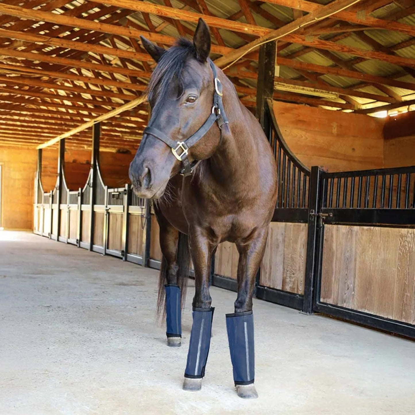 Jeffers Romper Stomper Fly Boots for Horses - Grey, Large – Breathable Mesh Leg Wraps for Insect Protection, Stable Accessories for Summer Turnout, Ride Gear, Horse Hoof & Leg Care - 4 Pack