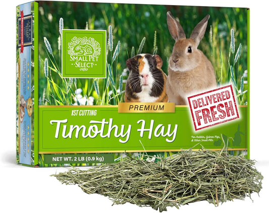 Small Pet Select 1st Cutting Timothy Hay, Animal Food for Guinea Pig, Rabbit, Hamster, Bunny, or Chinchilla, Natural Hay Grown in the USA, 2lb