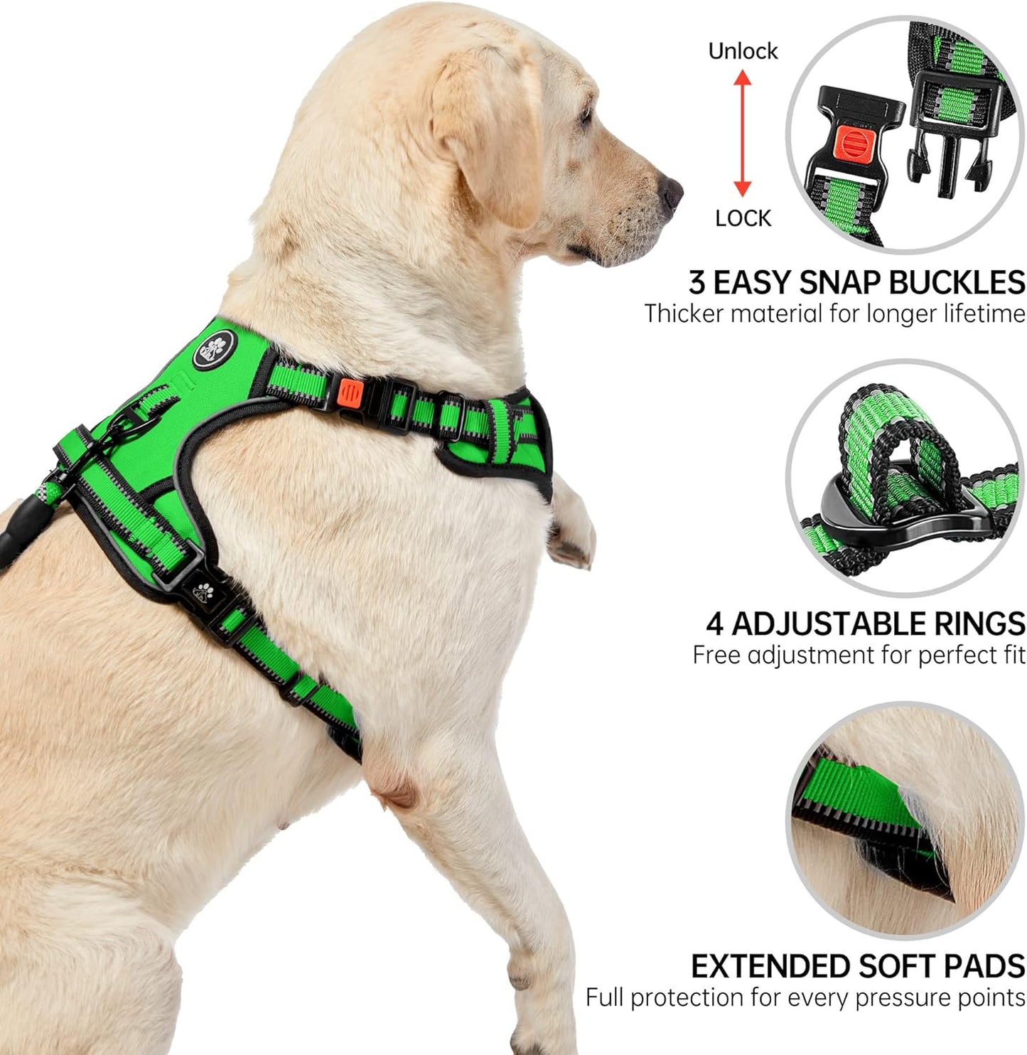 NESTROAD No Pull Dog Harness,Adjustable Oxford Dog Vest Harness with Leash,Reflective No-Choke Pet Harness with Easy Control Soft Handle for Small Dogs(Small,FluorescentGreen)