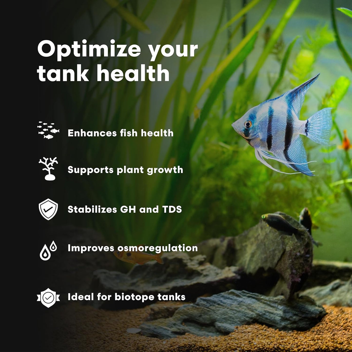 Brightwell Aquatics Remineralīz-P – Restores GH & TDS for Freshwater Aquariums, Replenishes Essential Minerals for RO & Distilled Water, Supports Fish & Plant Health, 250g