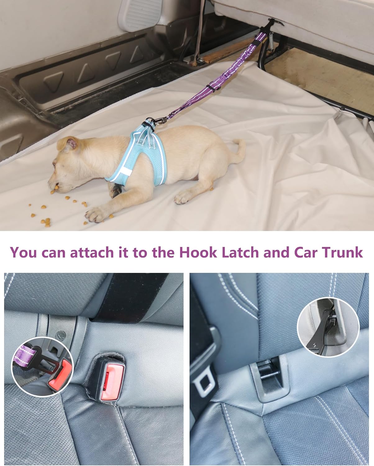 AUBELL Dog Seat Belt for Car,2 Pack Set 3-in-1 Adjustable Reflective Bungee Heavy Duty Dog Car Harness Tether with Clip Hook Latch & Buckle,Swivel Zinc Alloy Carabiner,Black+Purple