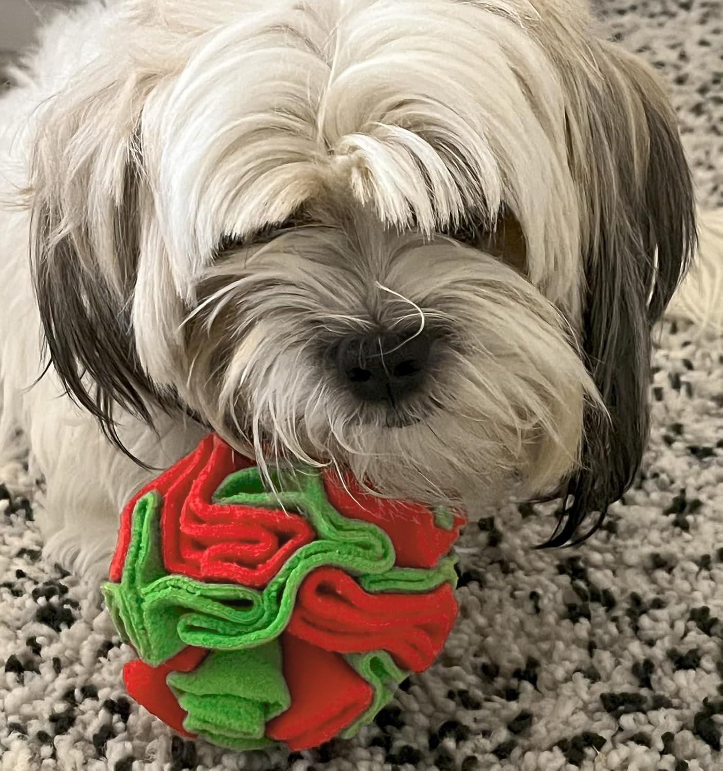 Glory To Dog Puppy and Medium Breed Snuffle Interactive Foraging Dog Puzzle Ball Toy Christmas Green and Red Large