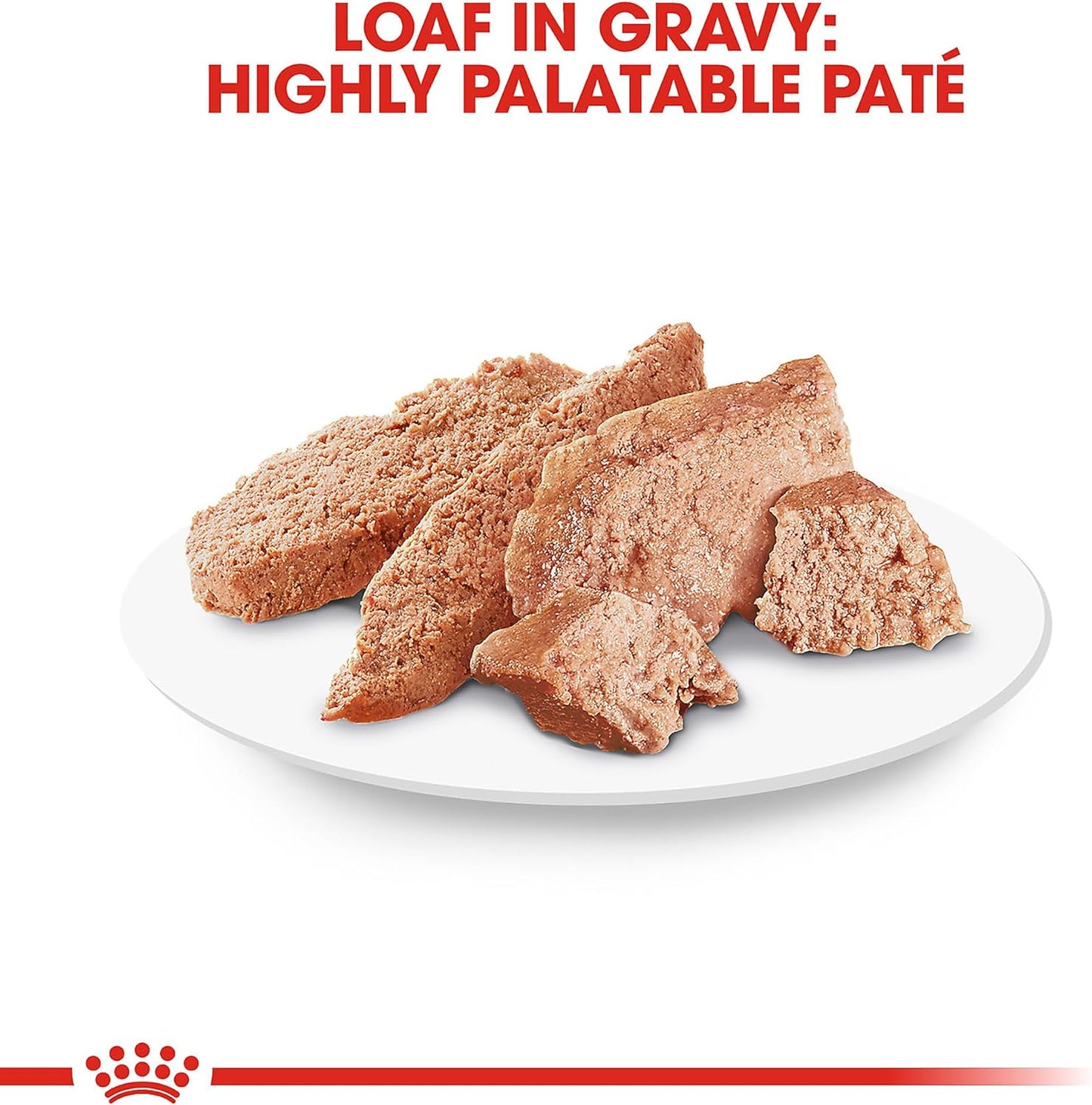 Royal Canin® Feline Breed Nutrition™ Persian Adult Loaf in Sauce Canned Cat Food, 3 oz, 24-Pack