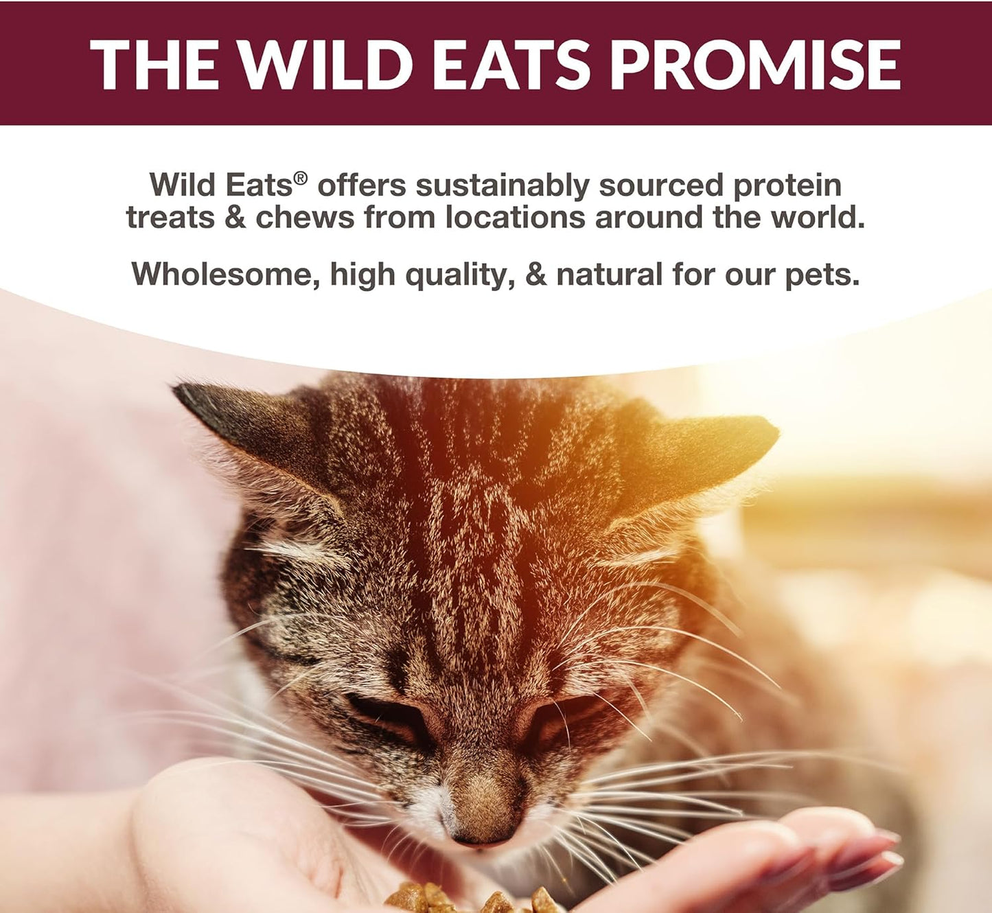 Simply Puree Variety Tub for Cats | 48 Individual Servings of All-Natural, High-Protein Puree Treats | Includes Multiple Flavors | Grain-Free, No Artificial Additives, Smooth Texture