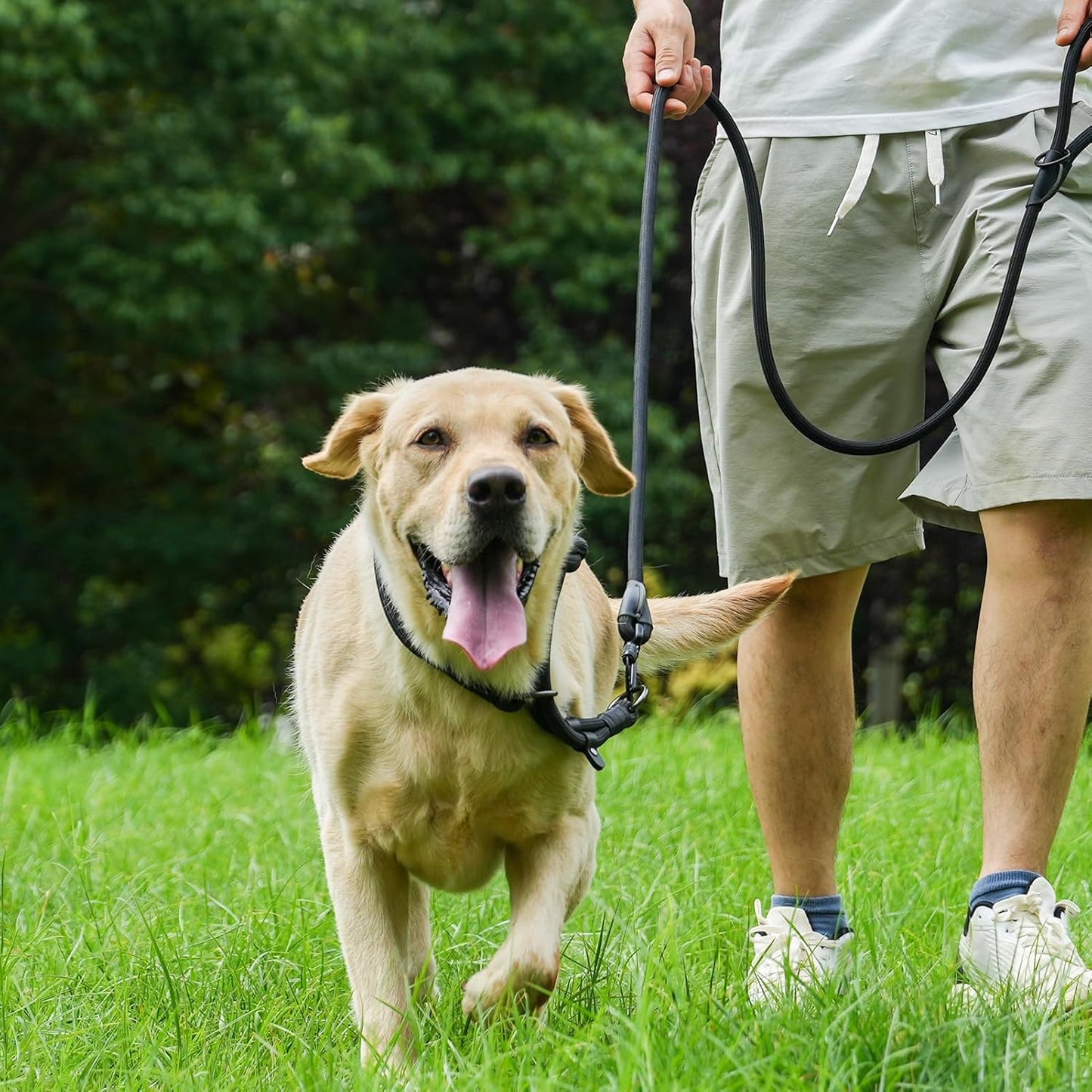 Rope Dog Leash with Two Handles, 6 Foot Heavy Duty Dog Leash with Aviation Aluminum Auto Locking Carabiner, Strong Nylon Pet Lead for Small, Medium, Large Dogs (Green, 6FT-Two Handle)
