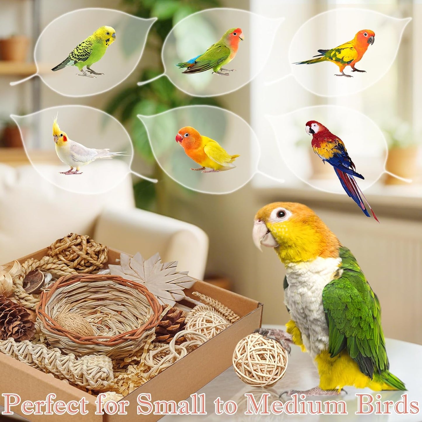 Natural Bird Foraging & Shredding Toys Box - Handmade Rattan Chewing Toys for Parakeets, Cockatiels, Conures, Lovebirds & Small to Medium Birds