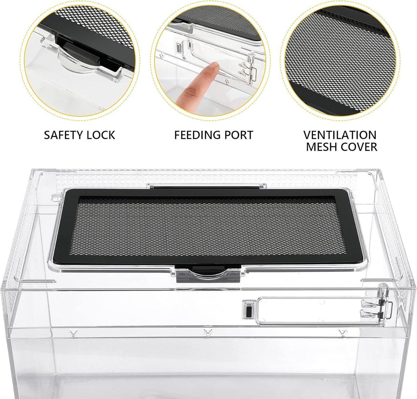 Reptile PC Terrarium Amphibian Tank Spider Enclosure Snake Cage 7x11.8x5.9inch Suitable for breeding Leopard Gecko,Frog,Hermit Crab,Lizards,Isopod,Tarantula,Turtles,Chameleons,Jumping Spiders