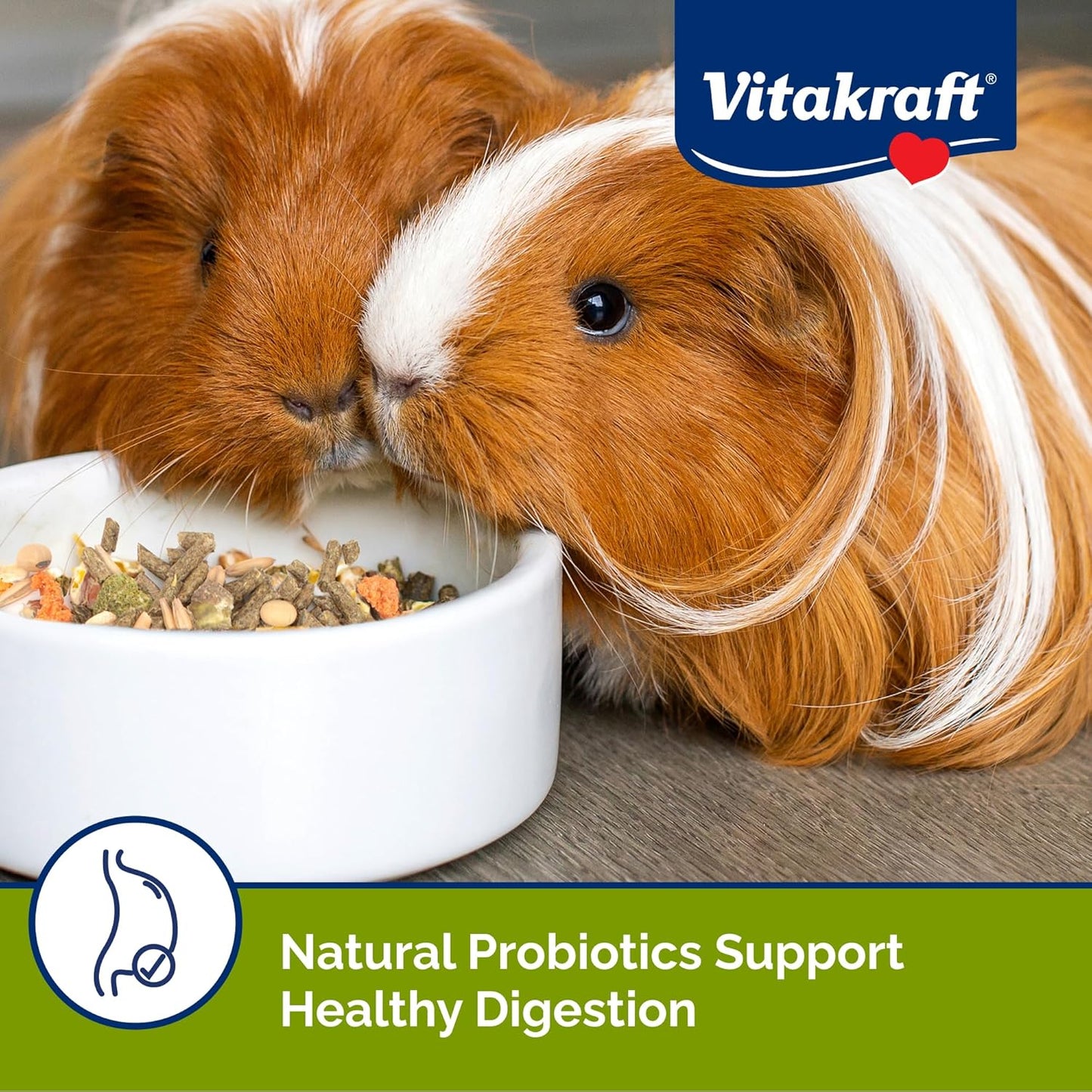 Vitakraft Menu Premium Guinea Pig Food - Alfalfa Pellets Blend - Vitamin and Mineral Fortified 5 Pound (Pack of 1)