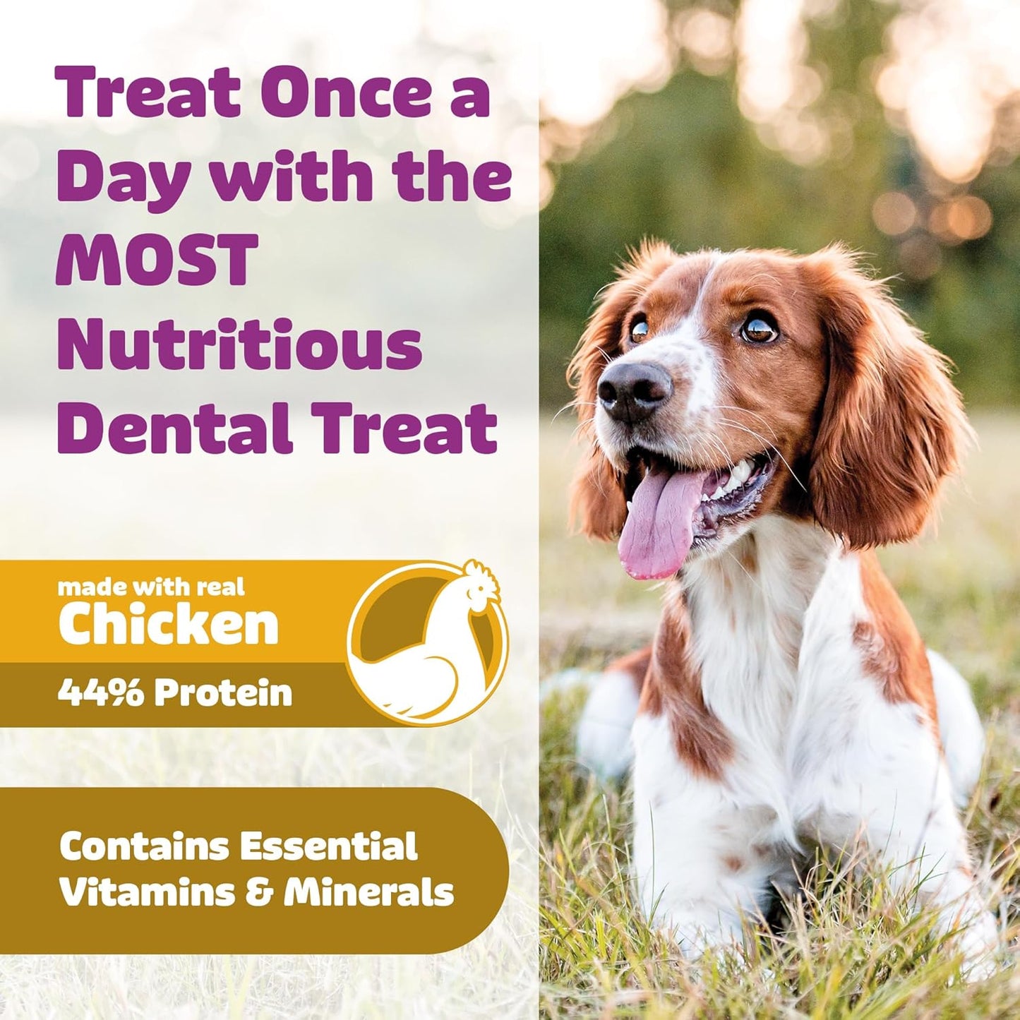 Dog Dental Treats – Vet VOHC Approved, Removes Tartar & Cleans Teeth – Yummy High Protein Chicken Treat for Medium Dogs (Mini Pack, 9 Count)