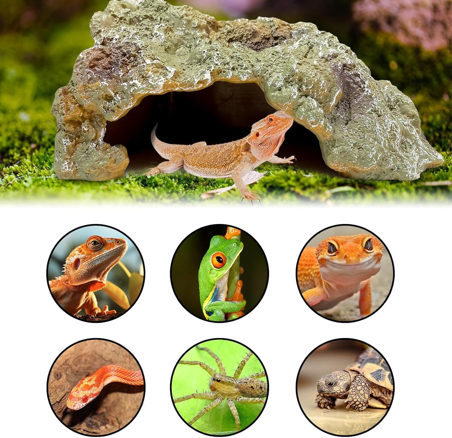 Reptile Hide Cave,Resin Rock for Reptile and Amphibians,Terrarium & Aquarium Habitat Hideout for Bearded Dragons,Lizards,Snakes,Turtles,Geckos,Ball Pythons (Brown, Medium)