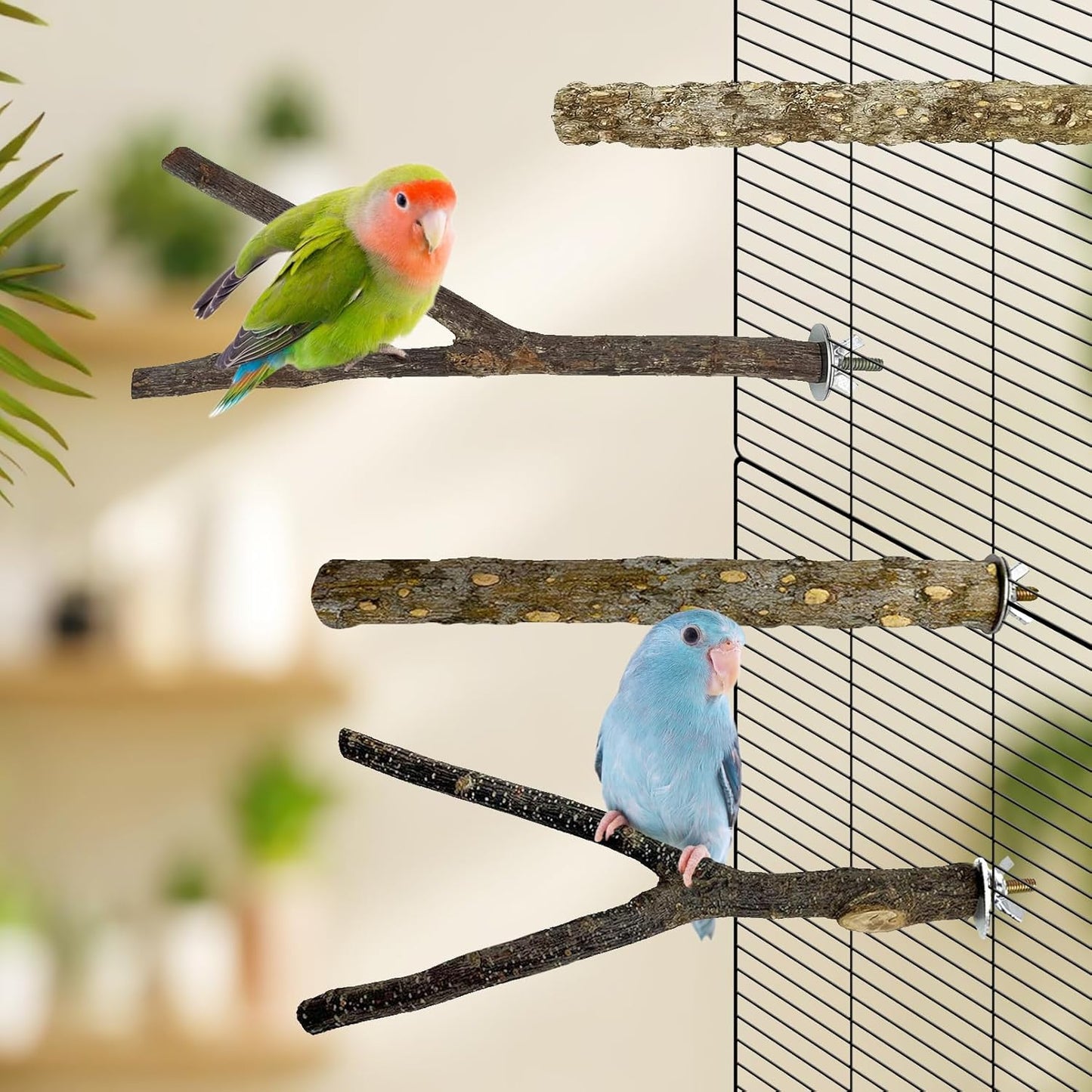 kathson 8 PCS Natural Bird Wood Perch Parakeet Standing Toy Sticks Parrot Paw Grinding Branches Cockatiels Cage Chewable Accessories for Conures Macaws Finches