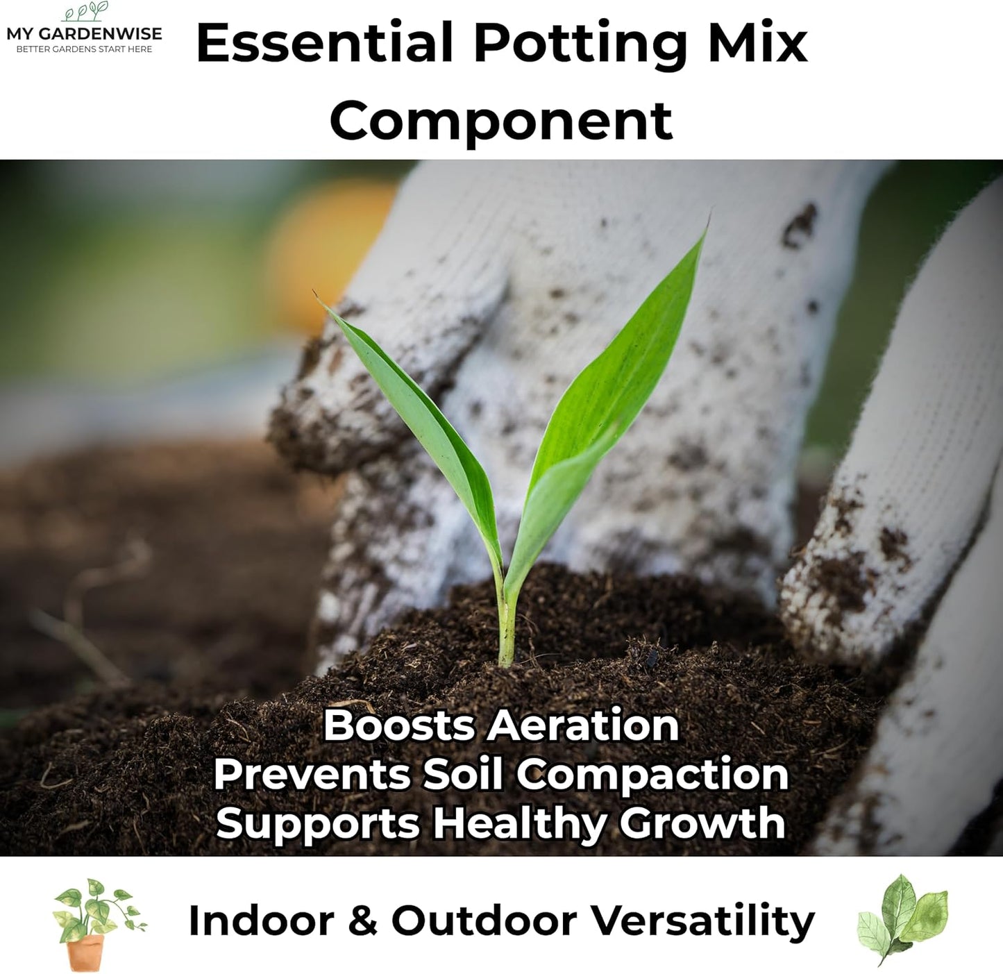 Peat Moss for Plants – Organic Sphagnum Peat Moss for Orchids, Terrariums, Seed Starting, Reptiles & Potting Soil Mix (3 quarts)