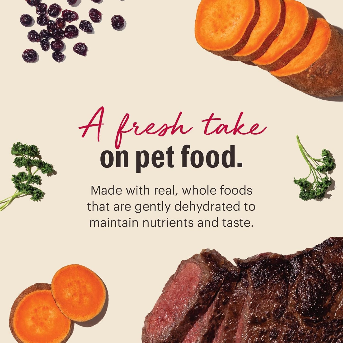 The Honest Kitchen Wholemade™ Grain Free Beef Dog Food, 2 lb Bag