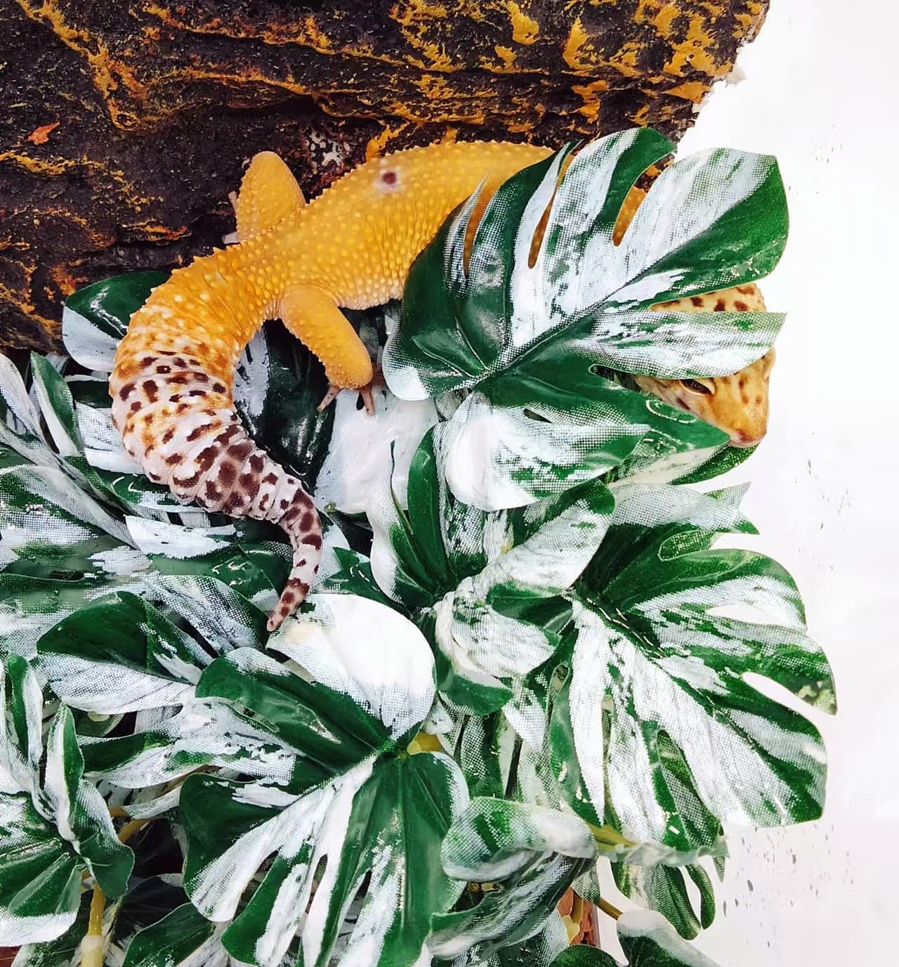 Reptile Plants for Terrarium, Amphibian Habitat Decor Artificial Hanging Plants with Suction Cup, Artificial Plants for Gecko Chameleon Snake Tortoise Tank Accessories. 2-Pack (Monstera)