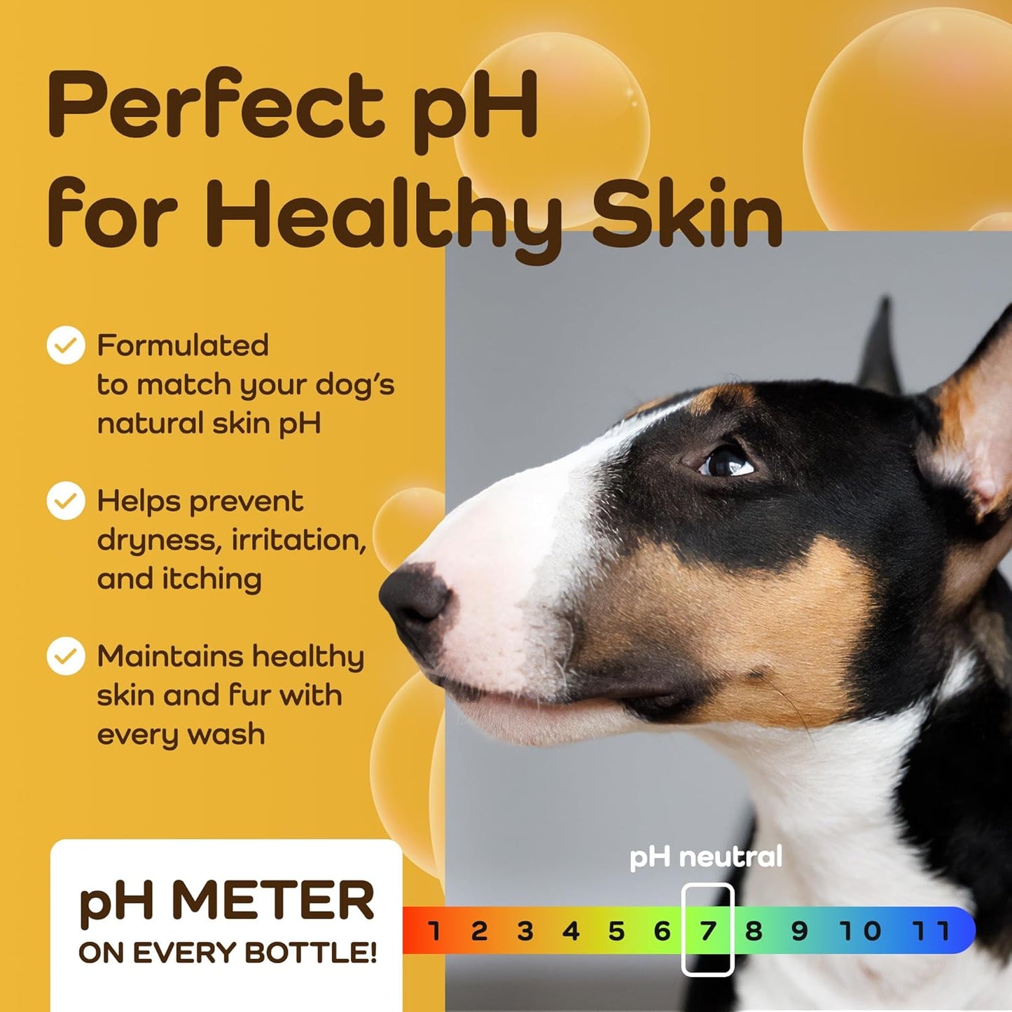 Sensitive Care -Tangle-Free-Silky Shine Softening and detangling Shampoo, Delicate Coat Clean & Odor Control Shampoo – Advanced Shine Formula for Dogs (Bull Terrier, 16 Fluid Ounces)