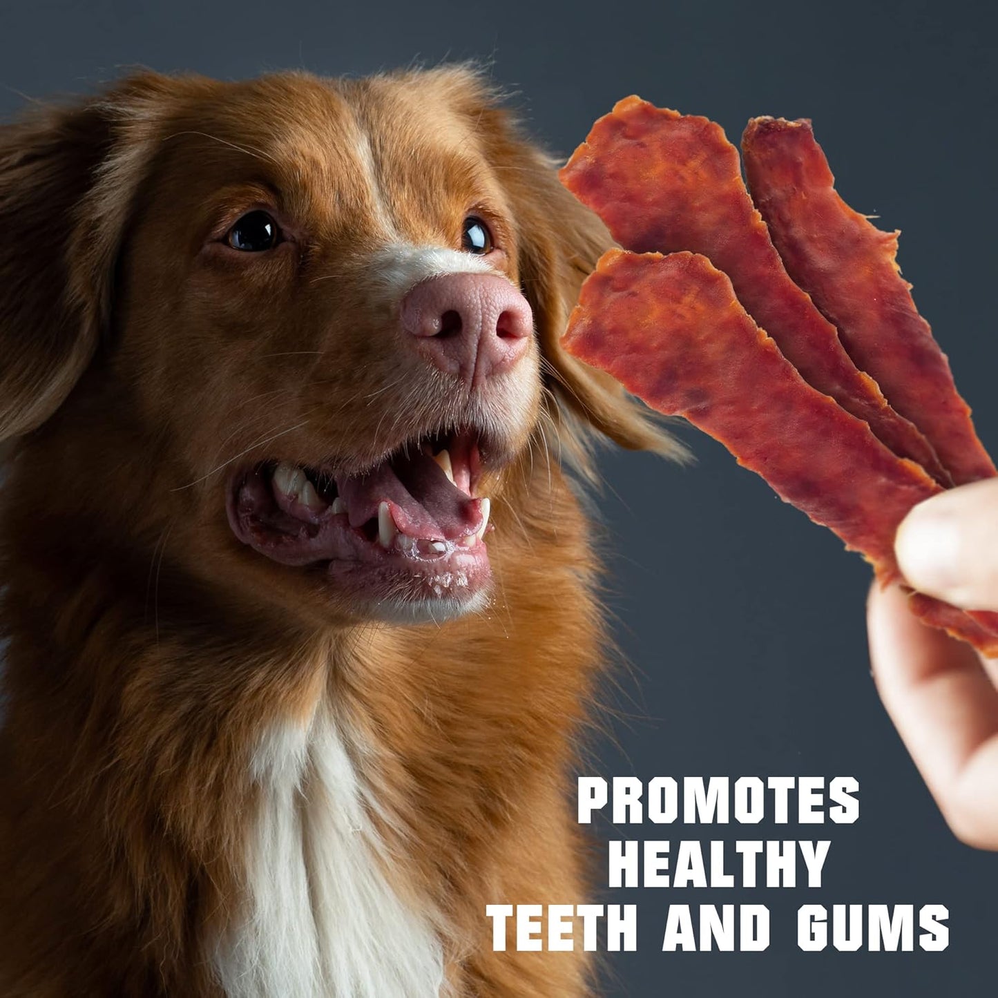 Dog Treats Duck Jerky 1.5 LB - Human Grade Pet Snacks - Natural High Protein Meat Dried Strips - Best Chews for Training Small & Large Dogs - Bulk Soft Pack