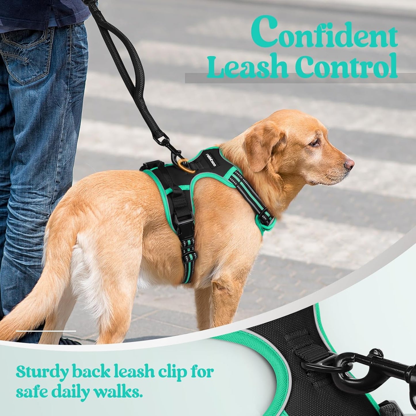 rabbitgoo Dog Harness No Pull with 2 Leash Clips, Adjustable Soft Padded, Reflective Oxford No Choke Pet Vest with Easy Control Handle for Large Dogs, Black & Turquoise, L