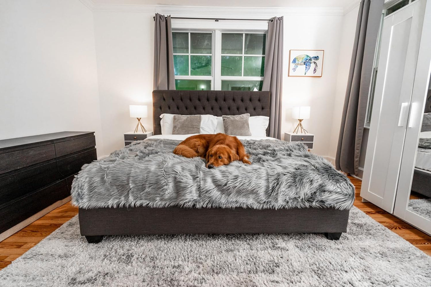 PupProtector Waterproof Throw Blanket for Dogs and Cats, Pet Blanket Cover for Couches, Sofas, Beds, Car Seats, Furniture, Calming Soft Faux Fur, Charcoal Grey, Large (80" L x 62" W)