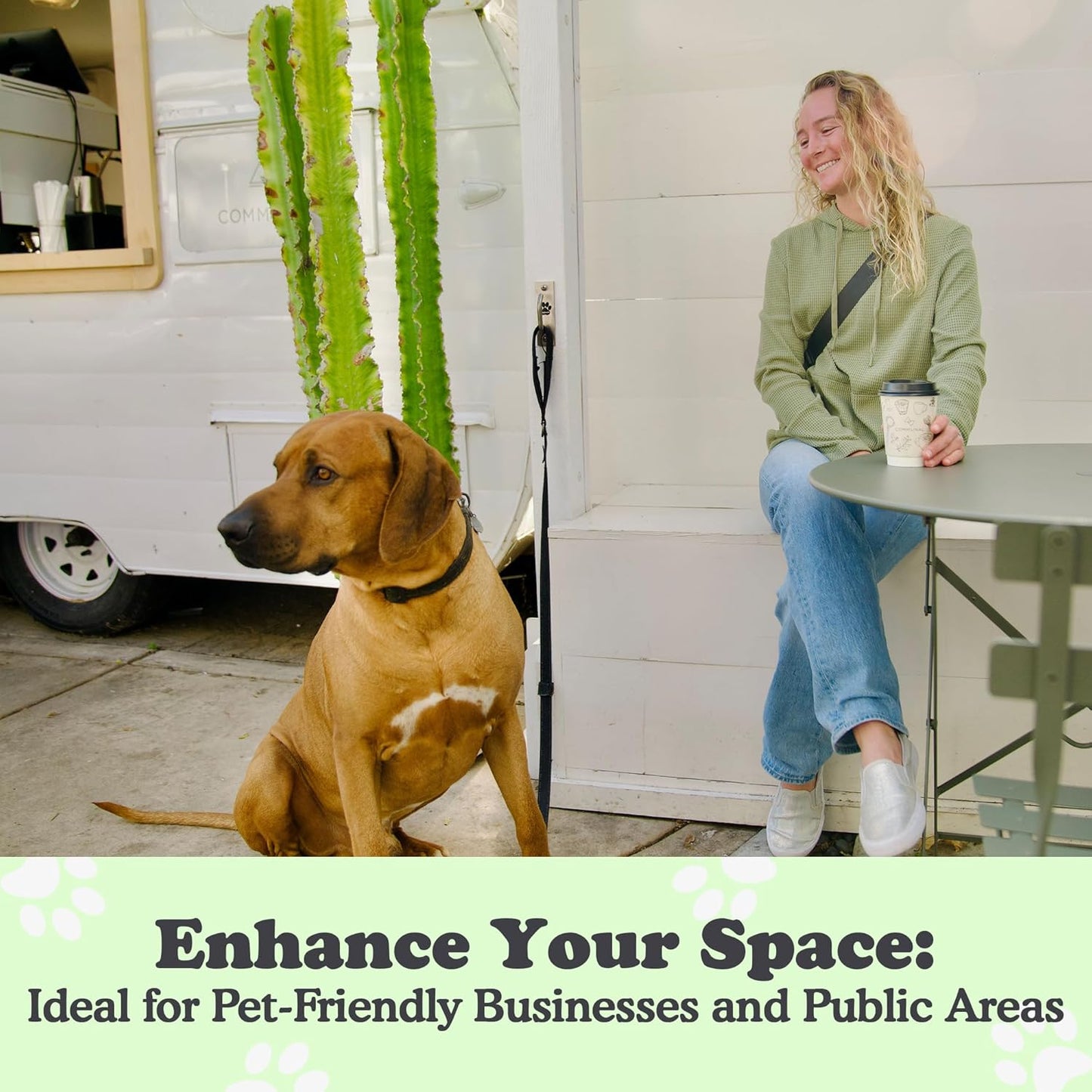 Canine Hitch- Secure Dog Leash Parking Wall Slim Hook with Clip 6 Pack - Tie Out Stainless Steel & ABS Mounting Plate for Strength - Practical Lead Management for Home & Business