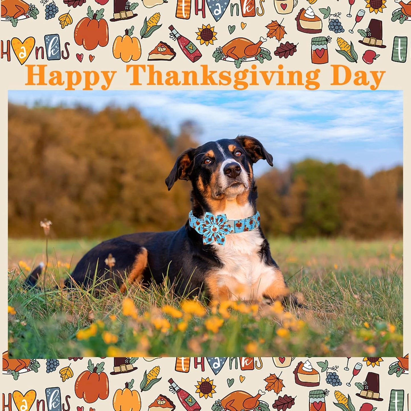 Unique style paws Thanksgiving Dog Collar with Flower Tie Autumn Turkey Theme Puppy Collar for Small Medium Large Dogs-M