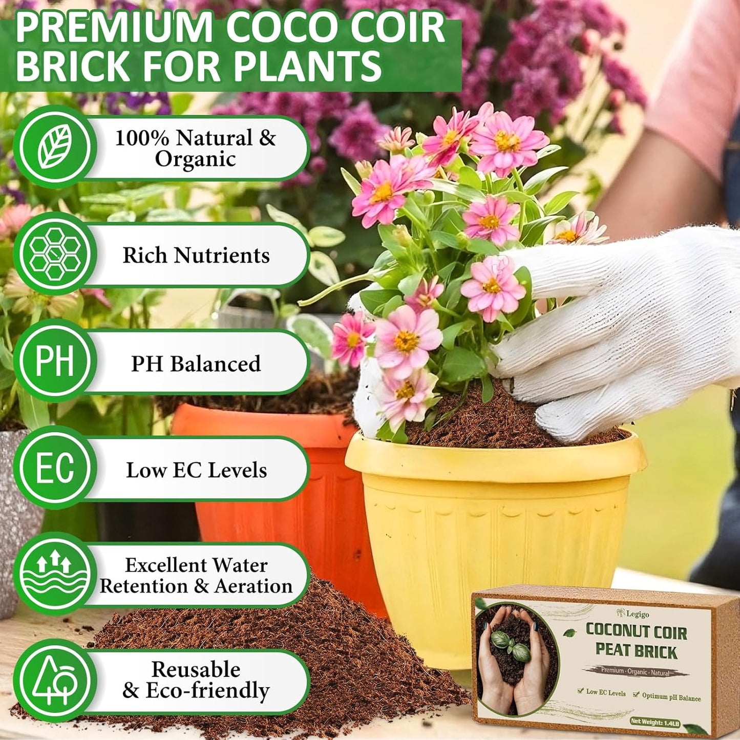 Legigo 12 Pack Premium Coco Coir Brick for Plants- 100% Organic Compressed Coconut Coir Bricks Starting Mix, Coco Coir Fiber Coconut Husk for Planting, Gardening, Potting Soil Substrate, Herbs