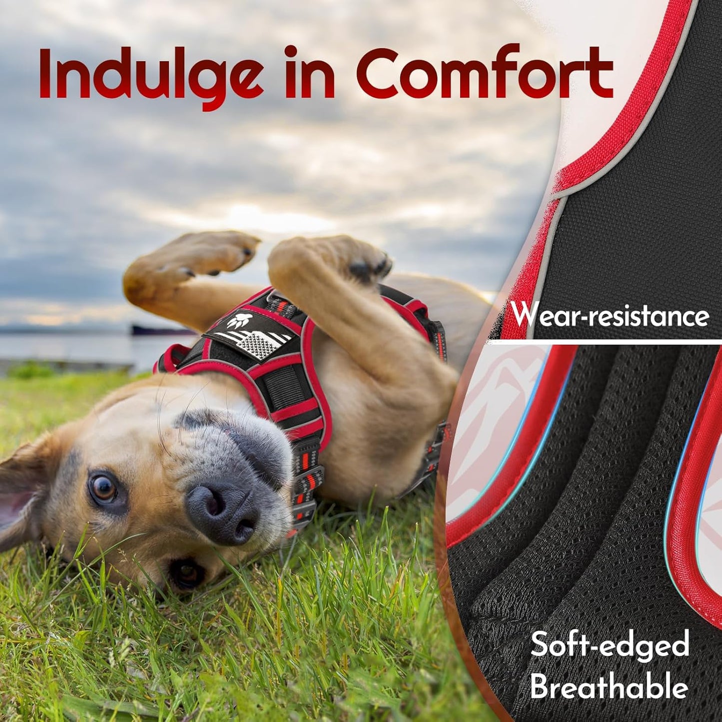 Eagloo Dog Harness for Large Dogs, Easy Wearing with 3 Buckles, Adjustable No Pull Pet Harness with 2 Rings for Walking, No Chock Reflective Soft Padded Vest with Control Handle, Black & Red, XL