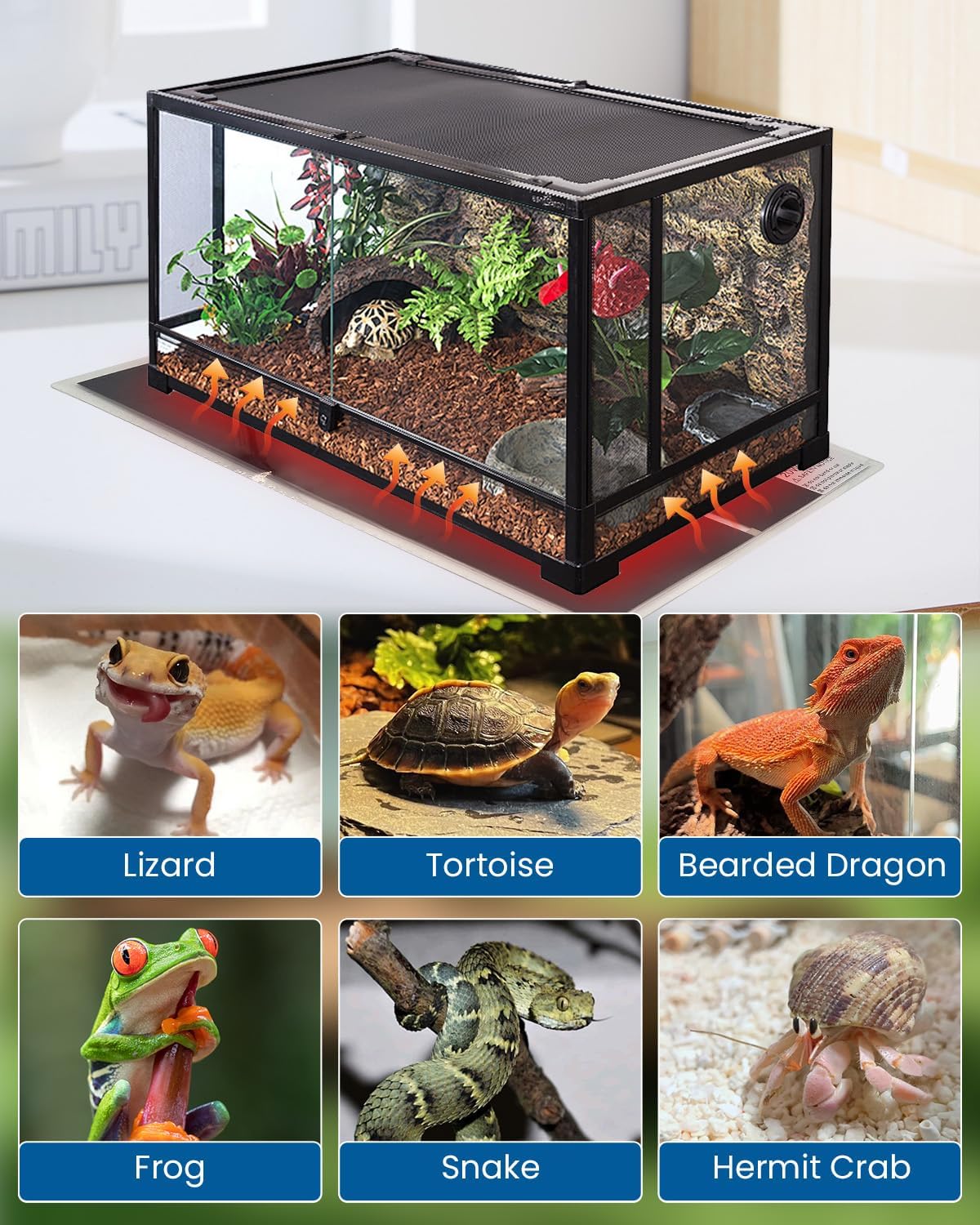 MQ Reptile Terrarium Heat Pad with LCD Digital Aquarium Thermometer, 6 x 11in Power Adjustment Under Tank Heater Mat for Pets, Small Animals, Seedling, 7W