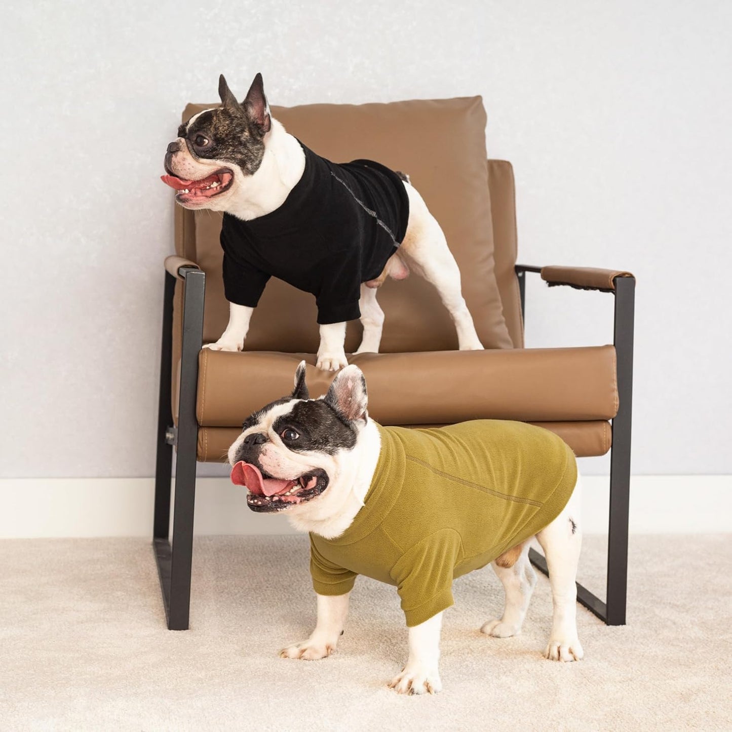 Fitwarm 3 Pack Classic Fleece Dog Sweater, Winter Clothes for Small Dogs Boy Girl, Turtleneck Dog Sweatshirt, Pet Pullover Jumper, Cat Apparel, Black, Olive Green, Cream, XXL