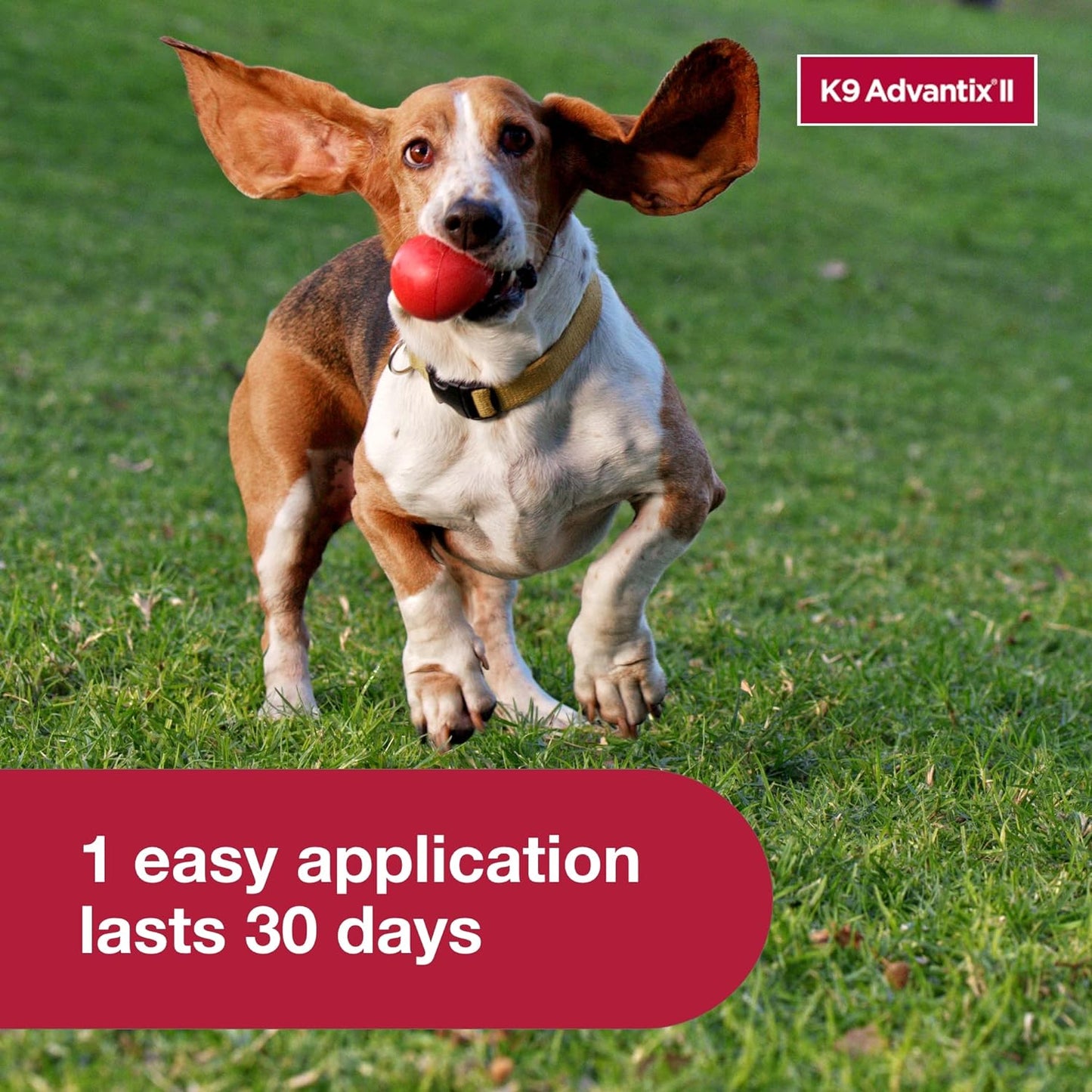 K9 Advantix II Small Dog Vet-Recommended Flea, Tick & Mosquito Treatment & Prevention | Dogs 4-10 lbs. | 6-Mo Supply