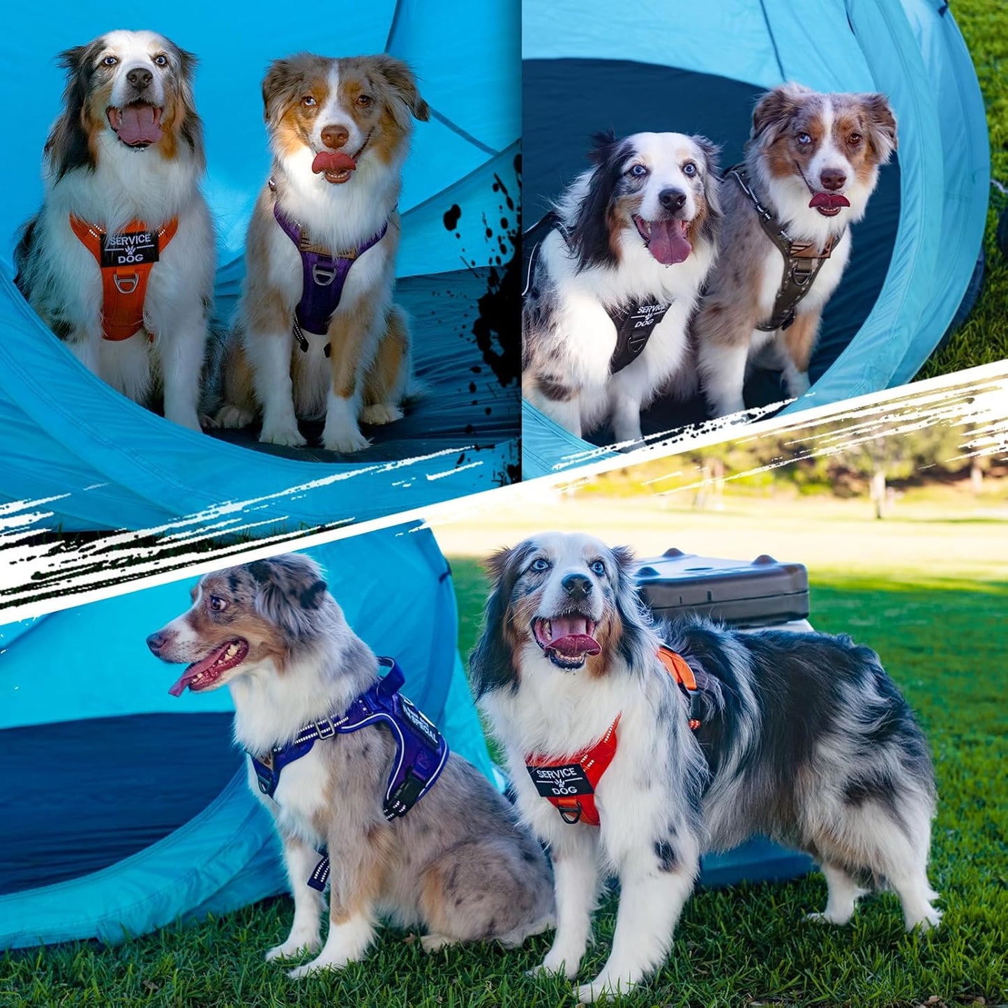 rabbitgoo Tactical Dog Harness for Small Dogs, No Pull Military Service Vest with Handle & Molle, Easy Control for Training Walking, Adjustable Reflective Straps, Purple, S