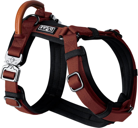 MADE TO ROAM Premium Explorer Harness - Y-Shaped Dog Harness with Adjustable Durable Nylon, Soft Padding, Metal Buckles and Leather Handle for Small, Medium, Large Dogs (Arizona Heartbeat, Size 1)