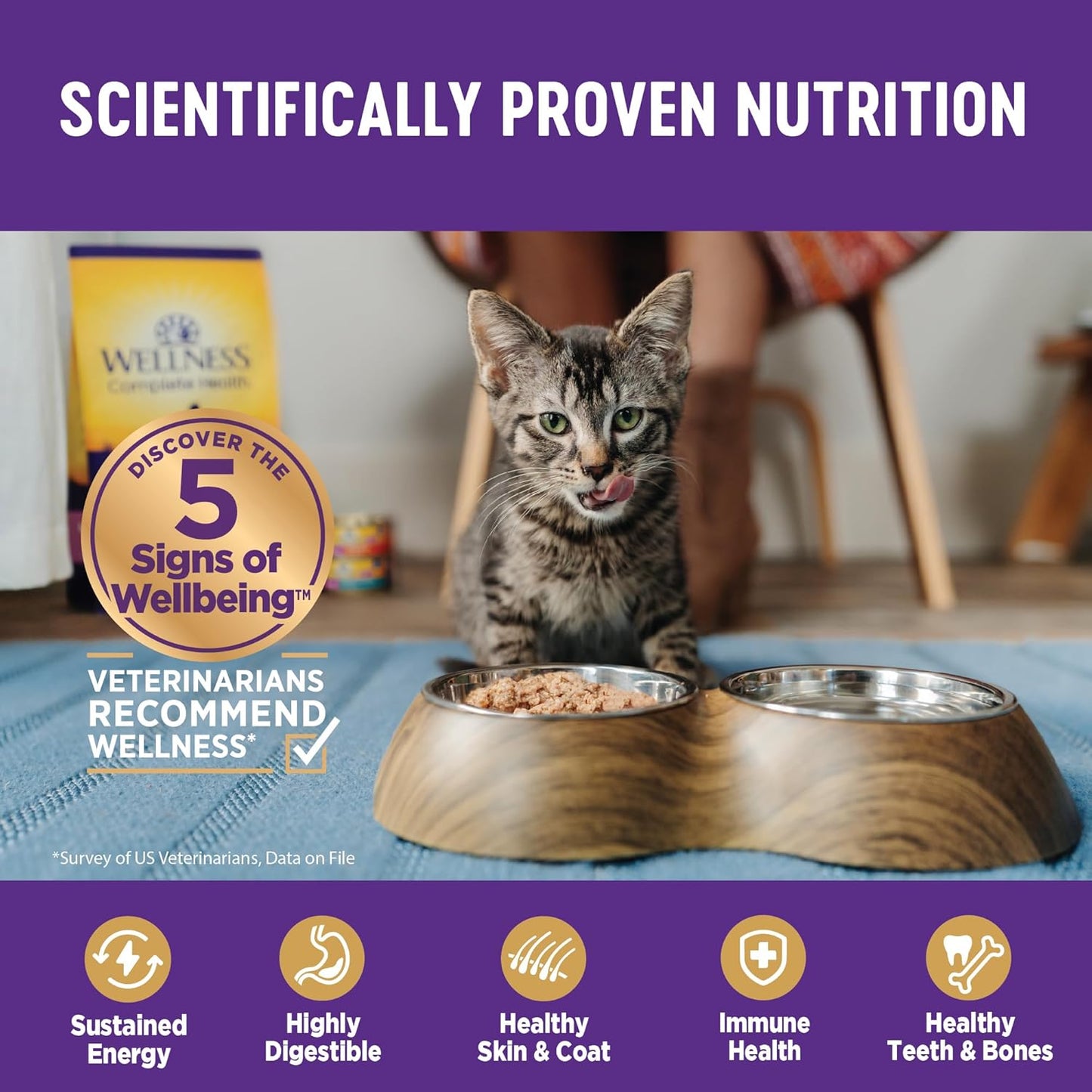 Wellness Complete Health Sliced Adult Wet Cat Food, Natural, Protein-Rich, Grain Free, 5.5 Ounce, 24 Pack, (Chicken Entrée)