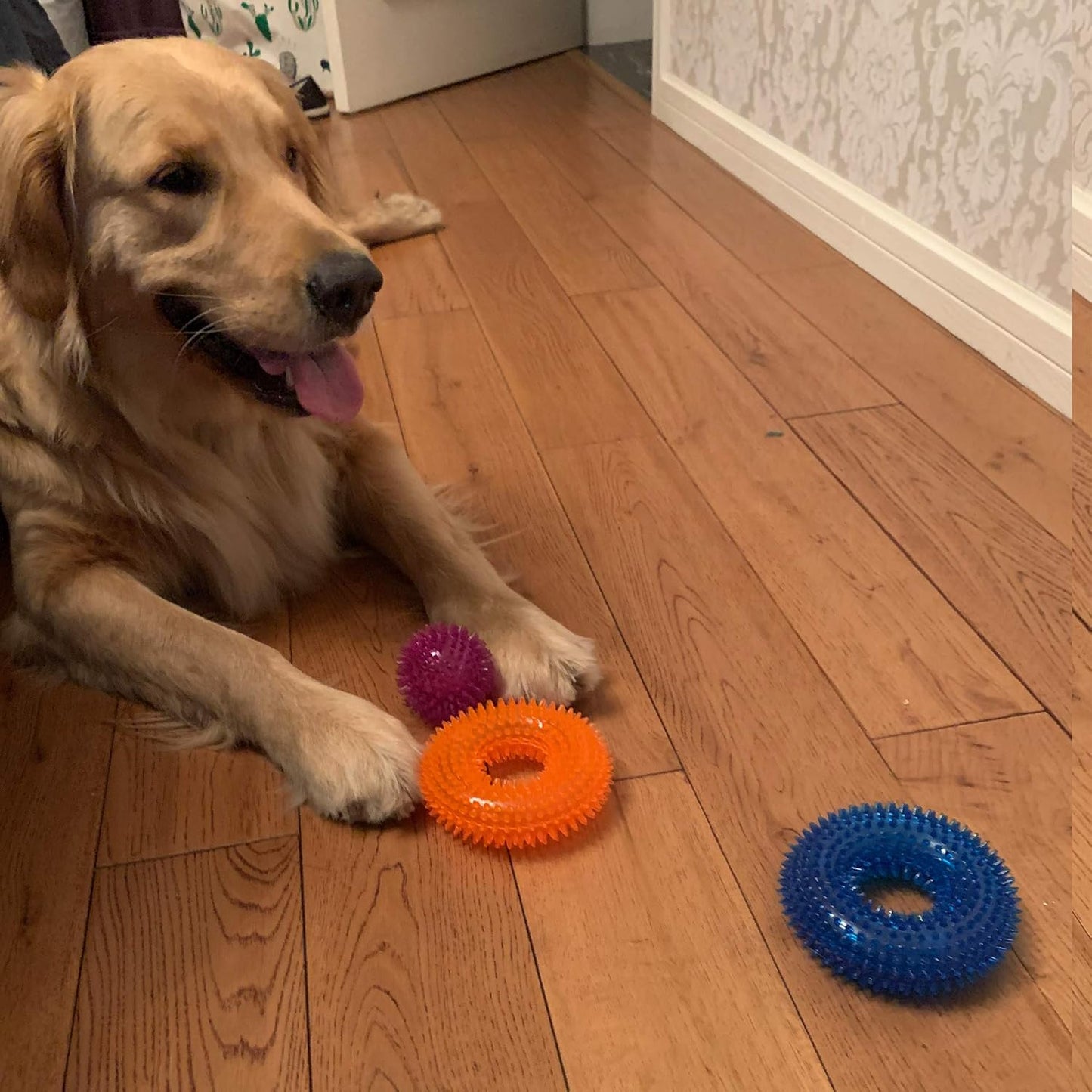 Jalousie Dog Squeaky Toys Value Set Non-Toxic Squeaky Balls Toss Fetch TPR Rubber Puppy Toys Spikey Dog Chew Toy for Small Medium Breed Pet Toys for Puppy (6 Pack Spiky Ball)