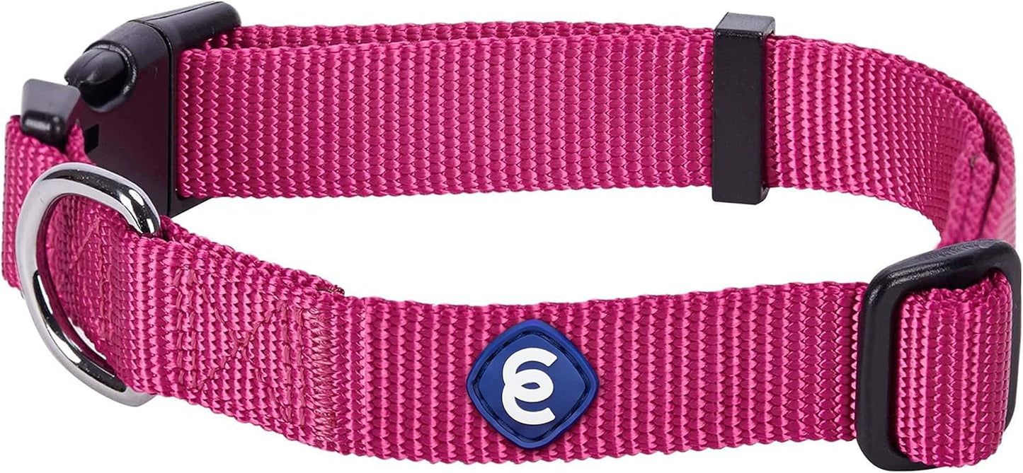 Blueberry Pet Essentials Small Dog Collar in Very Berry | Adjustable & Eco-Friendly Durable Nylon Strap | Classic Collar for Small Dogs, Boy & Girl Pets