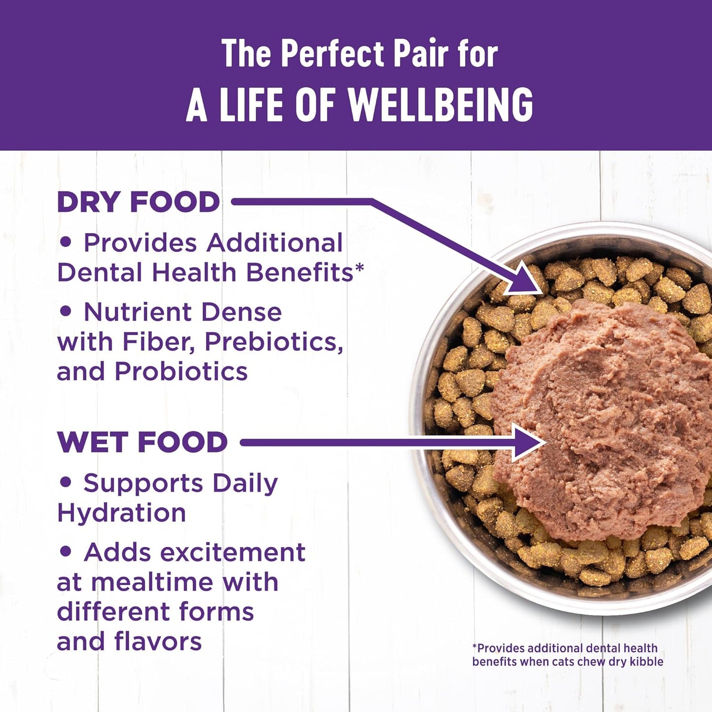 Wellness Complete Health Pate Adult Wet Cat Food, Natural, Protein-Rich, Grain Free, 5.5 Ounce, 24 Pack, (Chicken)