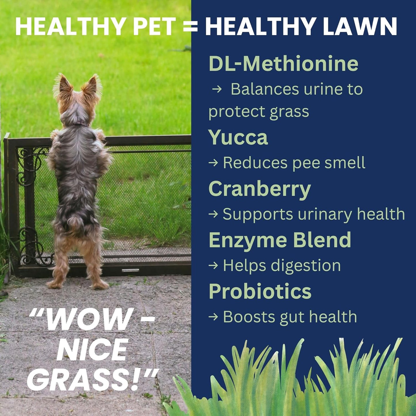Under the Weather Nice Grass Chews for Dogs | Digestive Enzymes for Dogs | Canine Urine Neutralizer for Grass | Probiotics for Digestive Health | Vet Formulated Lawn Care Supplement | 60 Count